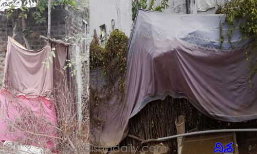 అయ్యో...! బతుకమ్మ చీరలు ఇలా..!!