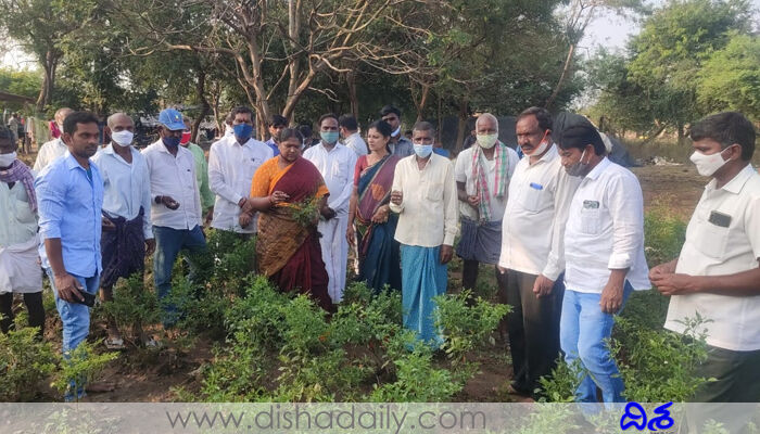 ప్రభుత్వం వారితో కుమ్మకైంది.. టీఆర్ఎస్పై సీతక్క ఫైర్ ప్రభుత్వం వారితో కుమ్మకైంది.. టీఆర్ఎస్పై సీతక్క ఫైర్