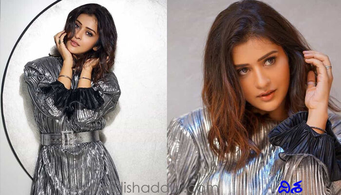 మెటాలిక్ డ్రెస్‌లో మెంటలెక్కిస్తోన్న పాయల్..