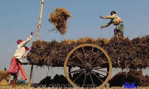 పెరిగిన వ్యవసాయ ఎగుమతులు.. ఎంతంటే..!