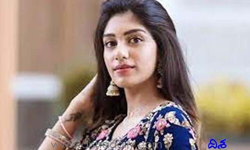 బాయ్ ఫ్రెండ్‌ను పరిచయం చేసిన బ్యూటీ.. అతడికి ఒకే చెప్పానంటూ..