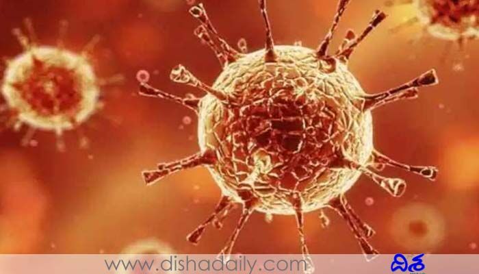 Corona In China: చైనాలో చావు కేకలు.. పంజా విసురుతున్న కరోనా Corona In China: చైనాలో చావు కేకలు.. పంజా విసురుతున్న కరోనా
