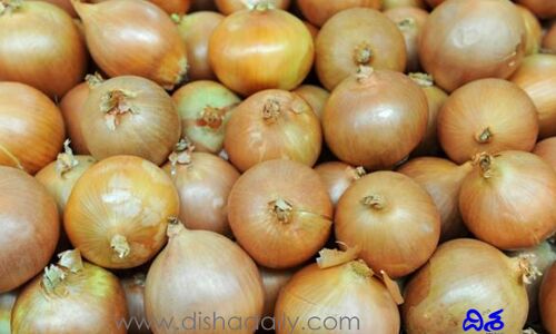వంటింటి కన్నీటికి చెక్.. మార్కెట్‌లో టియర్‌లెస్ ఆనియన్