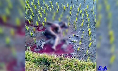 పదేళ్ల బాలుడు దారుణ హత్య.. రక్తపు మడుగులో మృతదేహం