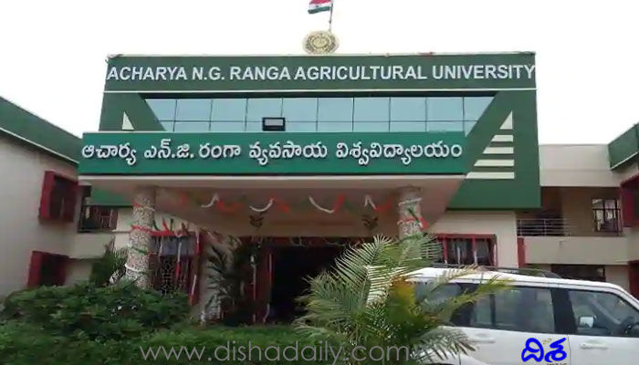ఆంధ్రప్రదేశ్ ఆచార్య ఎన్.జీ.రంగా యూనివర్సిటీలో ల్యాబ్ టెక్నీషియన్ ఉద్యోగాలు ఆంధ్రప్రదేశ్ ఆచార్య ఎన్.జీ.రంగా యూనివర్సిటీలో ల్యాబ్ టెక్నీషియన్ ఉద్యోగాలు