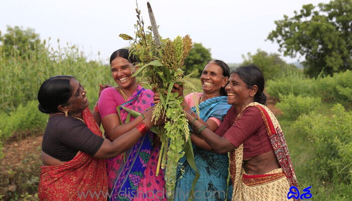 చిరు ధాన్యాల పండుగ పాత పంటల జాతర చిరు ధాన్యాల పండుగ పాత పంటల జాతర