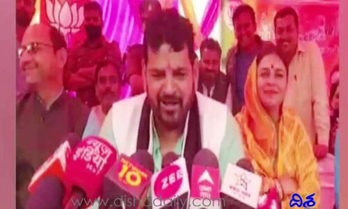 ఎంఐఎం అధినేతపై సంచలన వ్యాఖ్యలు చేసిన బీజేపీ ఎంపీ
