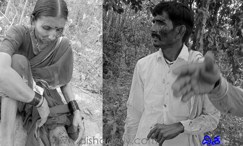 తృటిలో తప్పిన ప్రమాదం.. అడవి పందులు అలా చేయడంతో