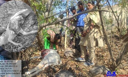 డిండి లో చిరుత కలకలం.. భయం భయంగా తండా వాసులు