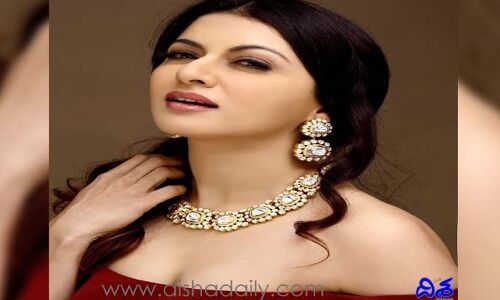 యంగ్ డైరెక్టర్లపై కన్నేసిన సీనియర్ నటి.. వారితోనే..