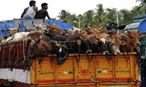 ప‌శువుల స్మ‌గ్లింగ్ కేసులో నిర్థోషి వాహనం జప్తు హ‌క్కుల‌ ఉల్లంఘ‌నే: సుప్రీంకోర్టు