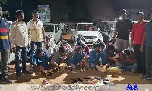 కోటపల్లిలో ఆ పని.. 28 మంది అరెస్ట్