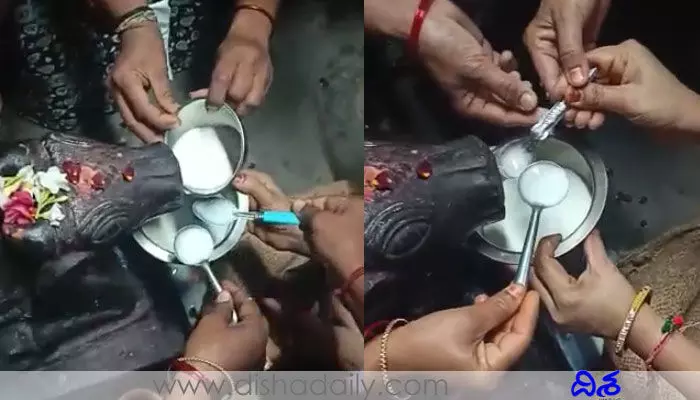ఆదిలాబాద్లో విచిత్ర ఘటన.. పాలు తాగుతున్న నంది! ఆదిలాబాద్లో విచిత్ర ఘటన.. పాలు తాగుతున్న నంది!