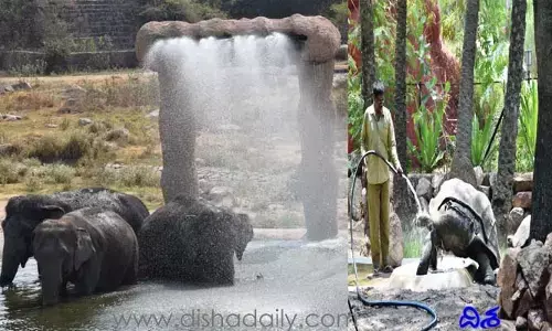 వన్యప్రాణుల సంరక్షణకు జూ అధికారుల ముందస్తు చర్యలు