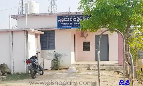 పశువైద్యం దయనీయం.. మండలానికి ఒకే డాక్టర్!