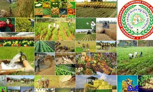 ఇక రాష్ట్ర వ్యవసాయ గణన కమిషనర్