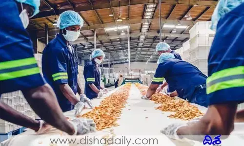 ఆహార ఉత్పత్తుల ఎగుమతుల్లో 23 శాతం వృద్ధి!