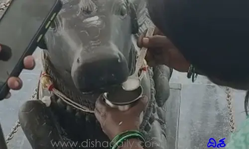 శివాలయంలో పాలు తాగుతున్న నంది విగ్రహం