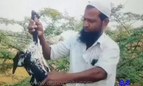 వింత మేక జననం.. 7కాళ్లు, 2నాలుకలు.. చివరకు..