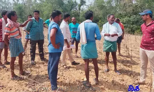 ఇది ఇలాగే కొనసాగితే తరిమికొడతాం..