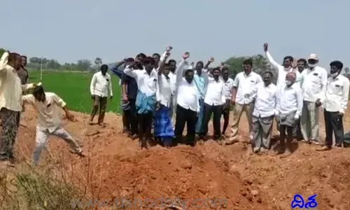 నాటిన మొక్కలను తొలగించి.. అసైన్డ్ భూమి కబ్జా!