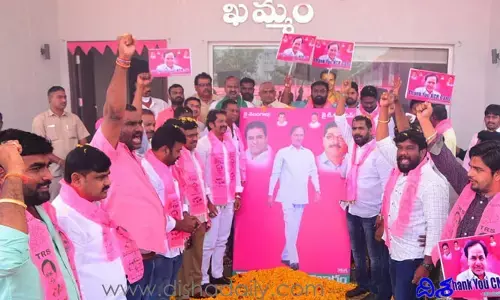 టీఆర్ఎస్ యువజన విభాగం ఆధ్వర్యంలో మిన్నంటిన సంబరాలు