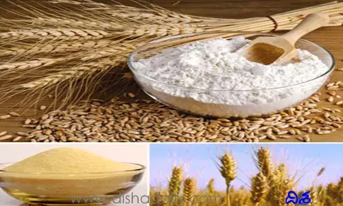 ఆహార ఎగుమతులపై ఉక్రెయిన్ బ్యాన్
