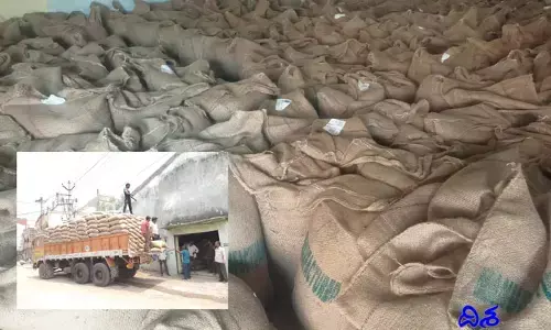 తగ్గిన శనగ దిగుబడులు.. ఆందోళనలో శనగ రైతులు