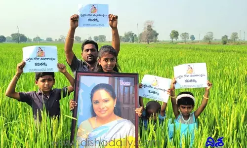 పచ్చని పొలాల్లో కవితకు పుట్టిన రోజు శుభాకాంక్షలు