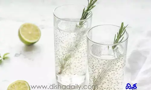 వేసవిలో సబ్జా సత్తువ.. ఎన్ని లాభాలో..