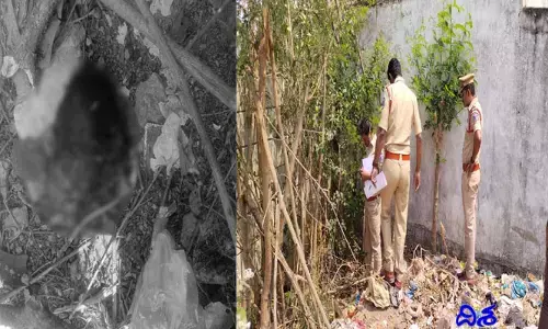మ‌న్సూరాబాద్‌లో దారుణం.. మొండెం లేని శిశువు తలను ఎత్తుకొచ్చిన కుక్క