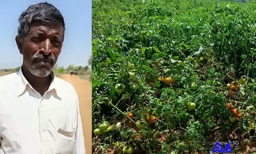 రైతులను ప్రభుత్వం ఆదుకోవాలి.. పెట్టుబడి కూడా రావడం లేదు..