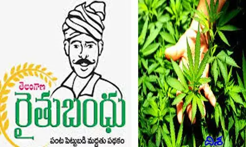 126 మందికి రైతు బంధు కట్.. ప్రభుత్వాన్ని కోరిన ఎక్సైజ్ శాఖ