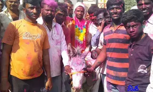 కొత్త అల్లుడికి గాడిదపై ఊరేగింపు.. ఆ ఊరిలో హోలి ఆచారం..
