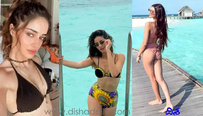 అరె ఏంట్రా.. ఆమె మొత్తం చూపిస్తుందేంటి? నటి బోల్డ్ వీడియో వైరల్ అరె ఏంట్రా.. ఆమె మొత్తం చూపిస్తుందేంటి? నటి బోల్డ్ వీడియో వైరల్