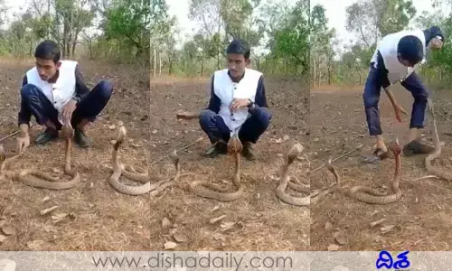 విష సర్పాలతో ఆటలేంటి..? పాములతో ఆడుతున్న బాలుడిపై నెటిజన్స్ ఫైర్ (వీడియో)