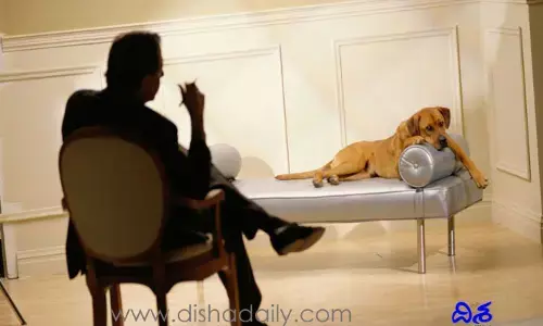 వీడియో కాల్‌లో ఉంటే కుక్క మీదెక్కి ఇలా..?! ర‌చ్చ ర‌చ్చే!!