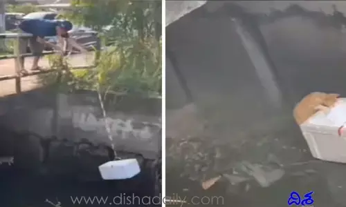 కార్డ్‌బోర్డ్‌తో ప్రాణాలు ర‌క్షించాడు! సూప‌ర్‌ ఐడియా..?!