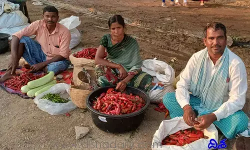 రికార్డు స్థాయికి చేరిన పచ్చడి పండు ధర