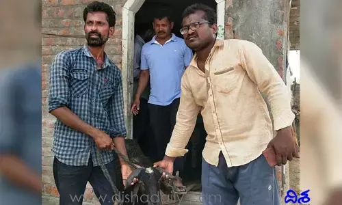 మేకల తండాలో మేత కోసం వచ్చిన మేకల చోరీ..