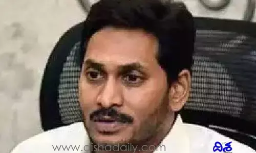 జగన్ ప్రభుత్వానికి ఎదురుదెబ్బ.. వారి పదవులు మూన్నాళ్ల ముచ్చటే..