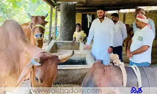 ప్రభుత్వ ఉద్యోగం మానేసిన ఈ యువకుడిని మెచ్చుకున్న గవర్నర్