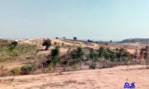 పేదల భూమి కబ్జా.. కలెక్టర్ సందర్శించినా బెదరని టీఆర్ఎస్ లీడర్
