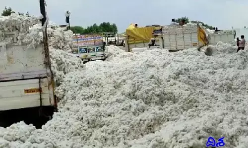 రోజురోజుకు పెరుగుతున్న పత్తి ధరలు.. బాధ పడుతున్న రైతులు