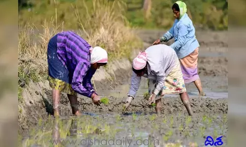 పీఎంకేఎస్‌వై ద్వారా 29 లక్షలకు పైగా రైతులకు ప్రయోజనం