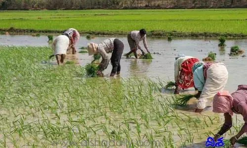 వారం రోజులే.. రుణమాఫీ కోసం రైతుల ఎదురుచూపులు