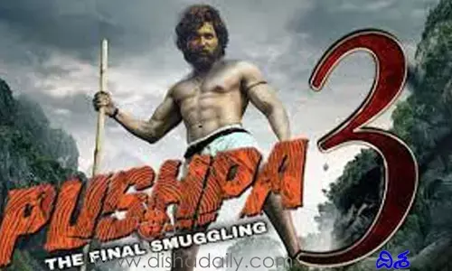 పుష్ప అభిమానులకు బిగ్ సర్‌ప్రైజ్.. పార్ట్ 3కి ప్లాన్