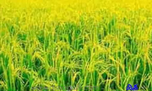 రైతులకు గుడ్ న్యూస్.. వడ్ల కొనుగోలుకు లైన్ క్లియర్!