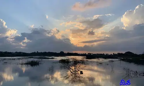 ఐఫోన్ అమ్మకానికి తమిళనాడు కల్చర్ హెల్ప్.. మెచ్చిన Apple CEO