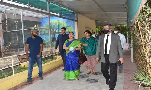 పరిశుభ్రత నిర్వహణలో దేశ ప్రశంసలు అందుకుంటున్న నెహ్రూ జూలాజికల్ పార్క్